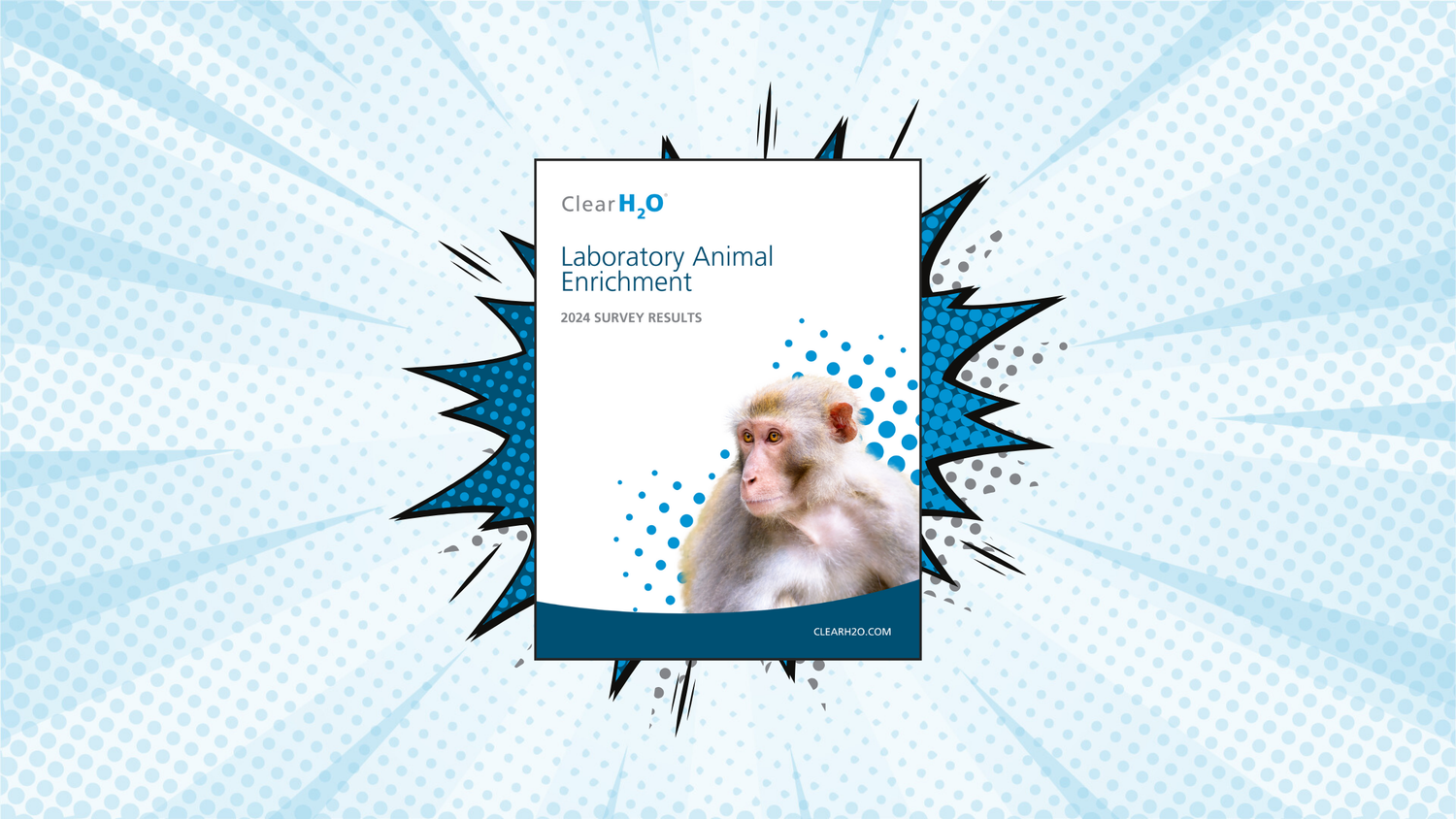 Enhancing Laboratory Animal Welfare: Key Takeaways from the 2024 Enrichment Survey