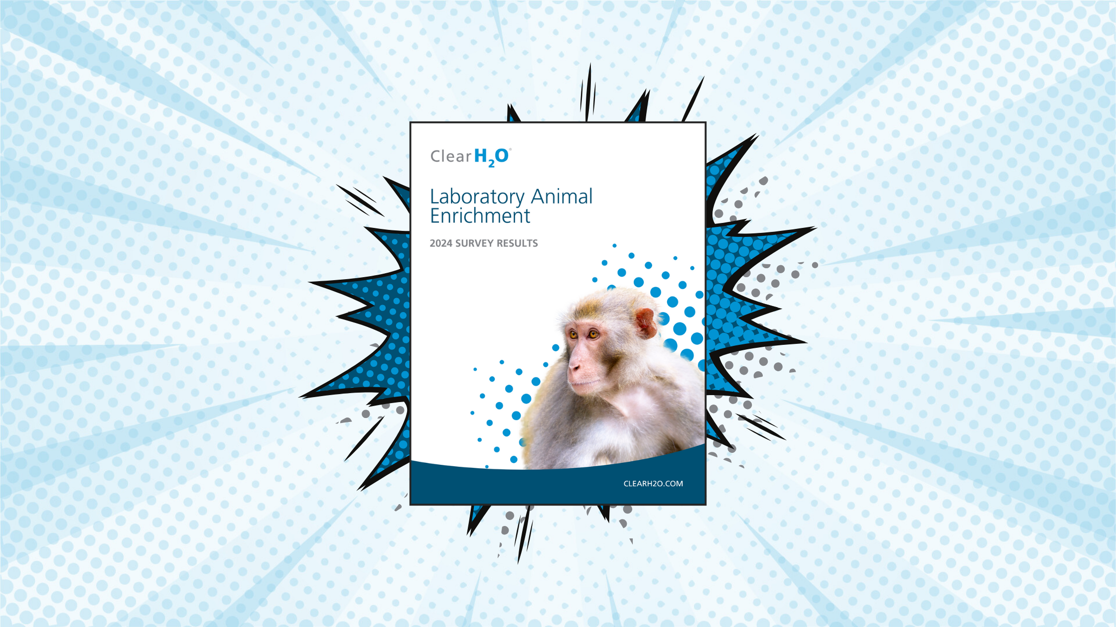 Enhancing Laboratory Animal Welfare: Key Takeaways from the 2024 Enrichment Survey