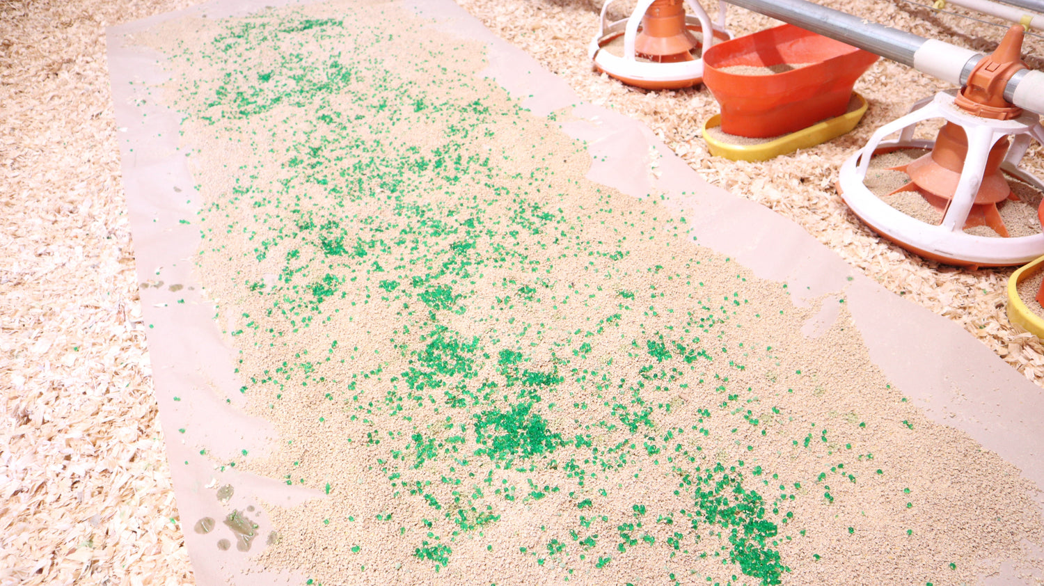 Best Practices for Coordinating a Successful AquaBeads® Trial