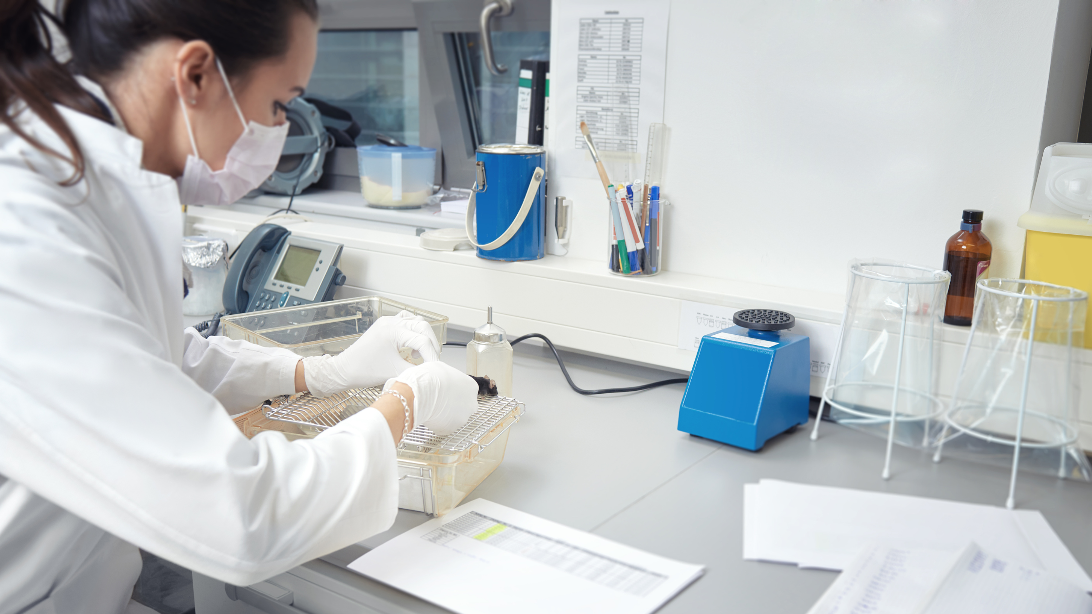 Mitigating Labor Challenges in Animal Research Facilities with Efficient Hydration Solutions