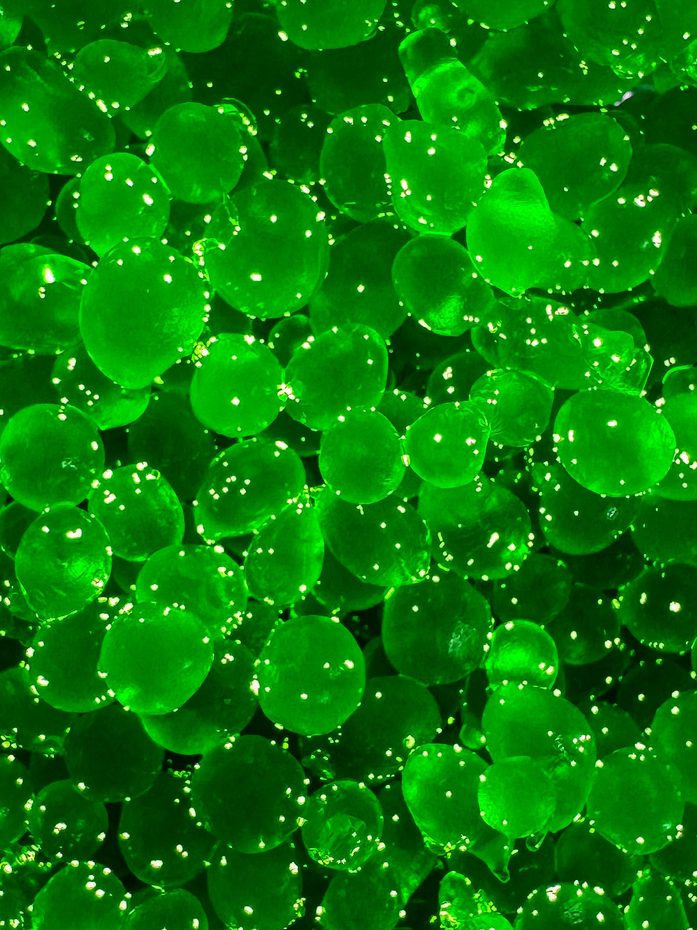 AquaBeads®