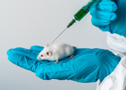 The Ethical Obligation of Lab Animal Pain Management at AALAS 2020