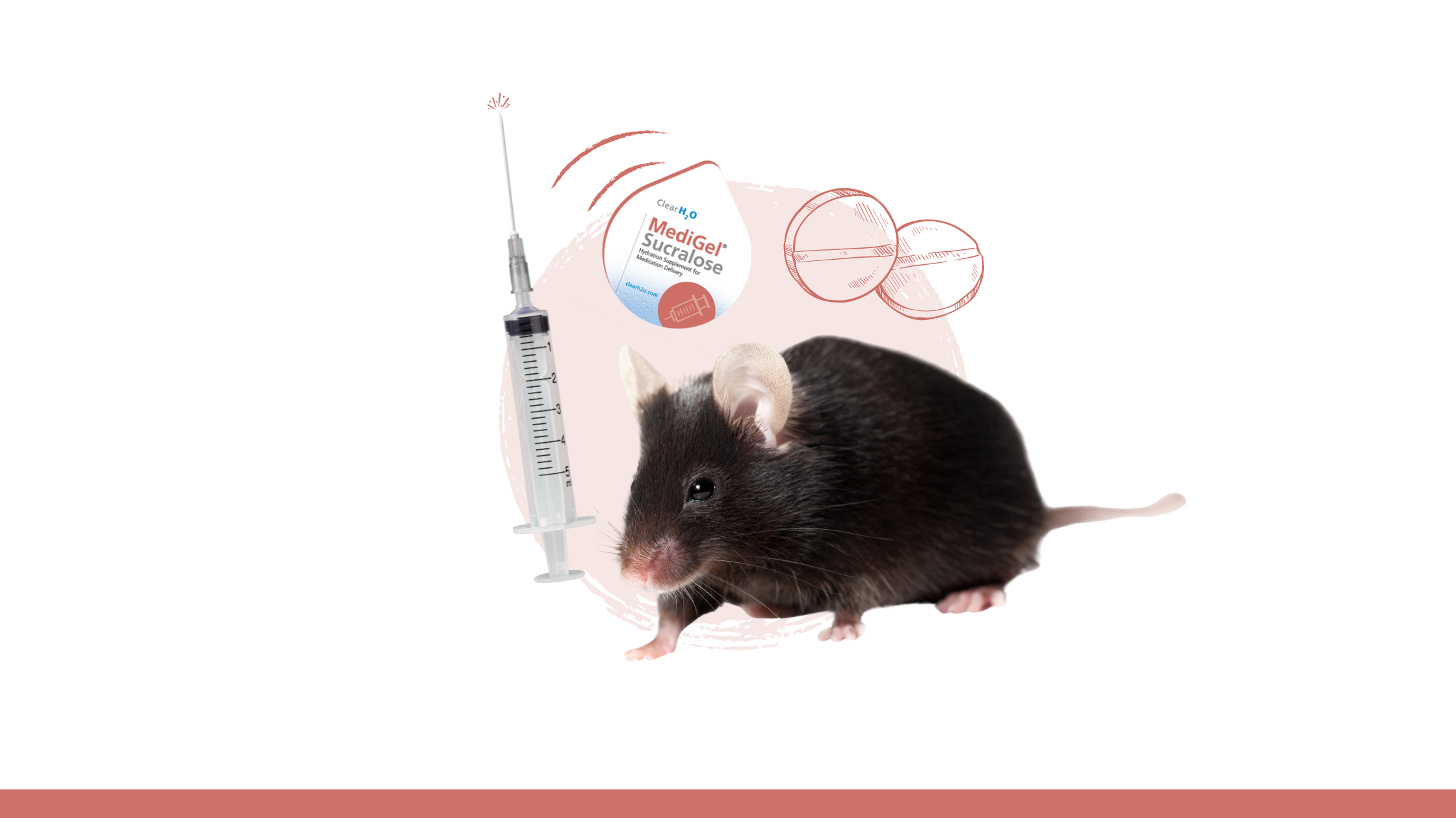 Common Methods of Administering Analgesics and Antibiotics to Research Animals