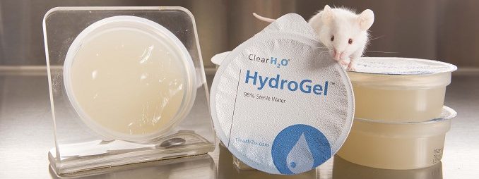 HydroGel® as an Emergency Water Supply Solution