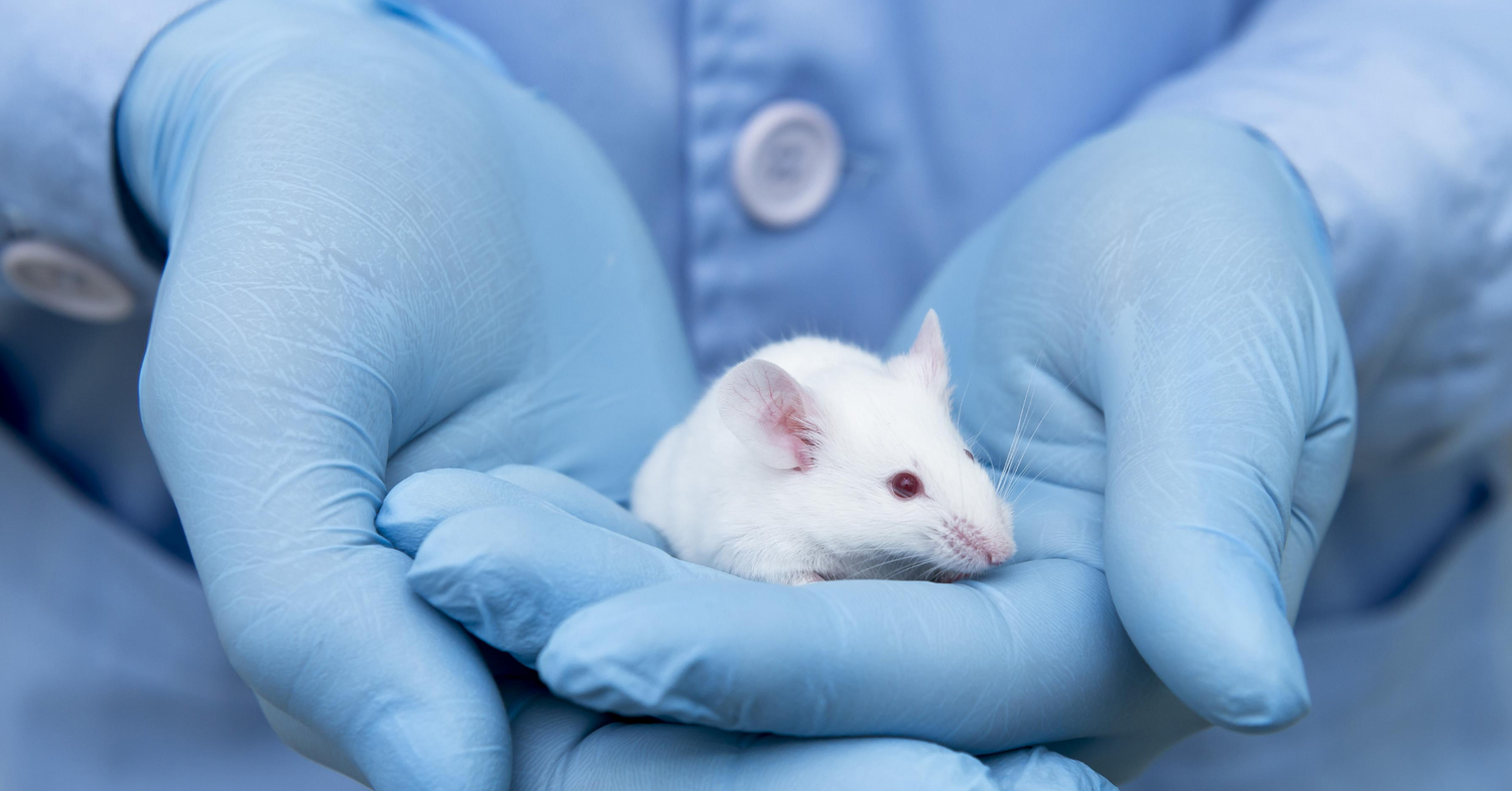 AALAS 2020 Aftermath: Laboratory Animal Science on the Forefront