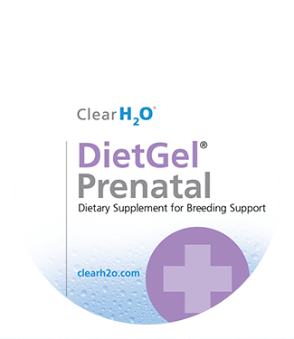 CH2O Lid-DietGel Prenatal